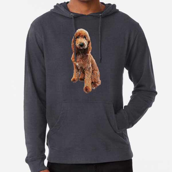 Goldendoodle Golden Doodle Cute Puppy Dog