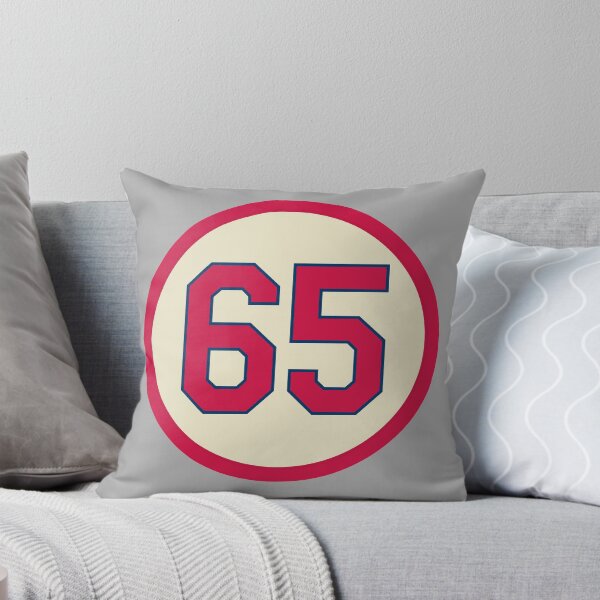 Item preview, Giovanny Gallegos #65 Jersey Number designed and sold by StickBall.
