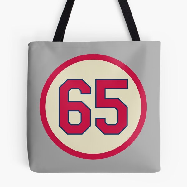 Item preview, Giovanny Gallegos #65 Jersey Number designed and sold by StickBall.