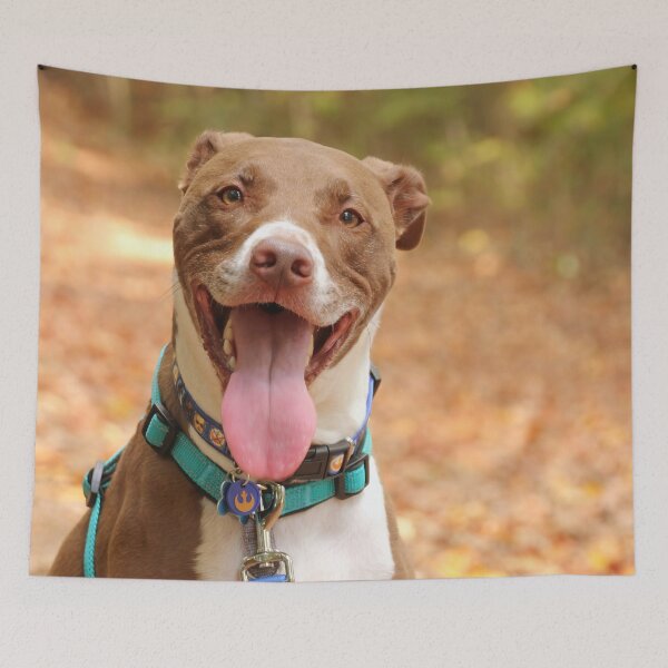 Item preview, Tyson designed and sold by Autumn Seas Photography.