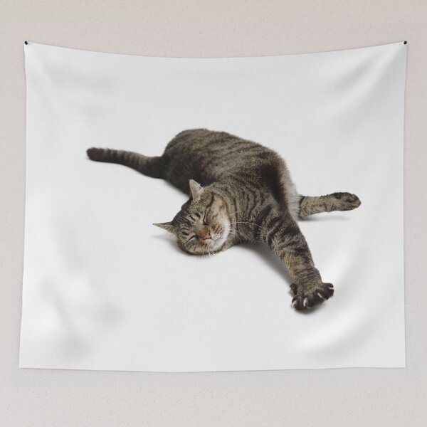 Item preview, Adorable Tabby Cat Stretching designed and sold by Leslie Banks.