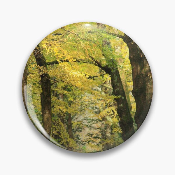 Item preview, Ginkgo biloba trees designed and sold by Gaspar Avila.