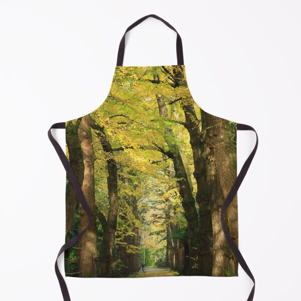 Item preview, Ginkgo biloba trees designed and sold by Gaspar Avila.