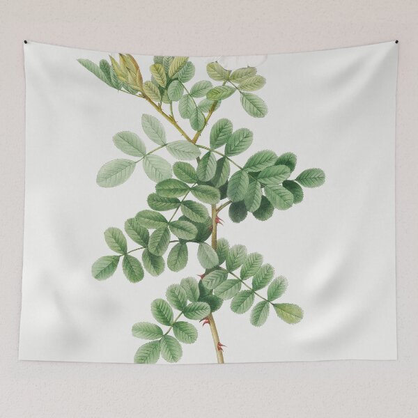 Item preview, Les Roses by Pierre-Joseph Redouté designed and sold by EsotericBotanic.