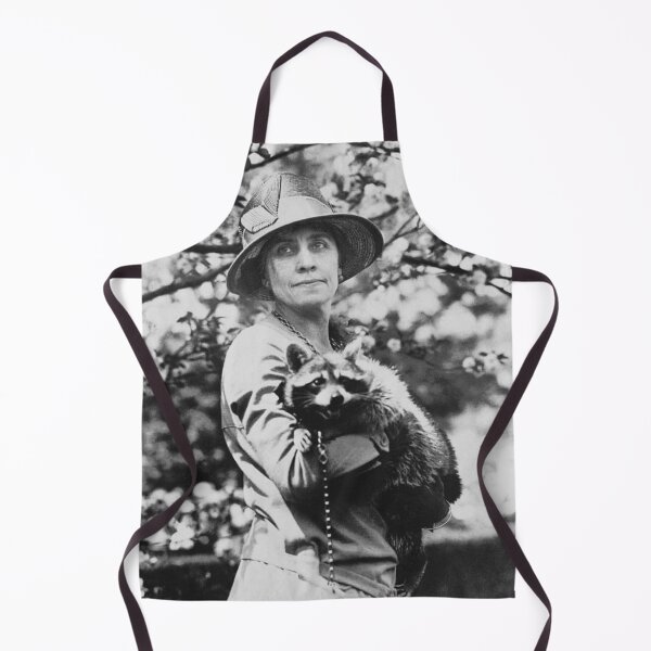 Item preview, White House Raccoon  designed and sold by funhousejen.