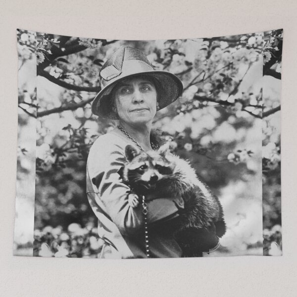 Item preview, White House Raccoon  designed and sold by funhousejen.