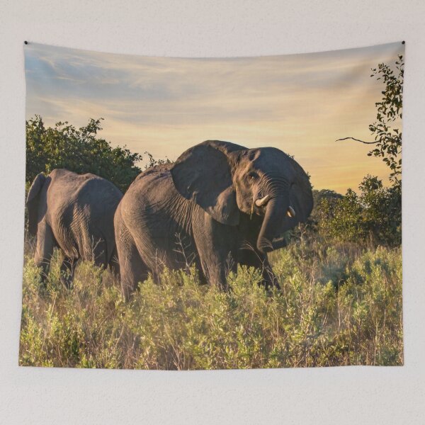 Item preview, Stay Away! designed and sold by Marylou Badeaux.