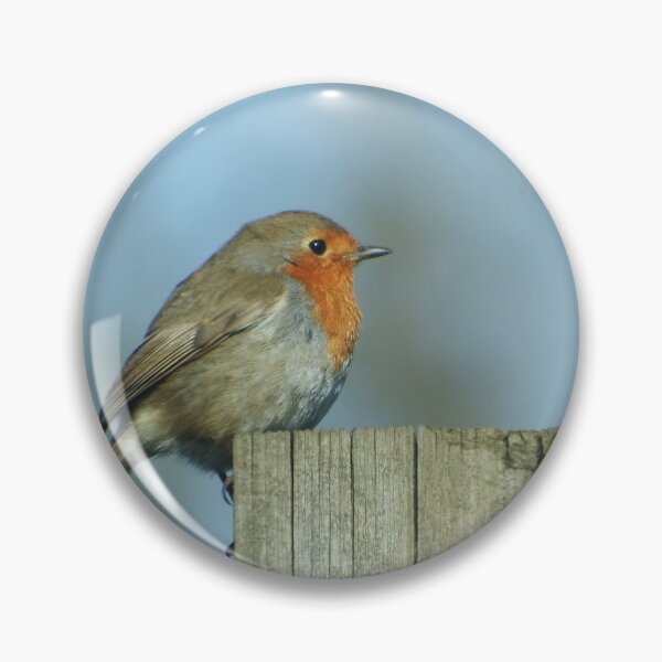 Item preview, Robin Redbreast designed and sold by boux.