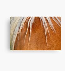 Fur Canvas Print