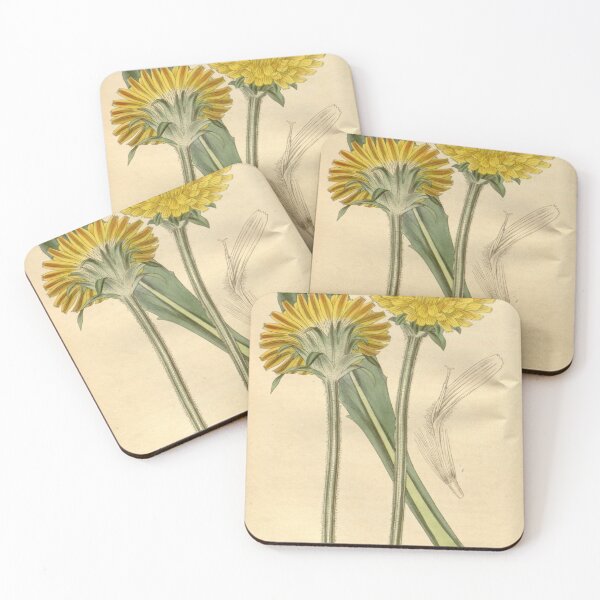 Item preview, Curtis's botanical magazine (Plate 3462) (8043215075) designed and sold by EsotericBotanic.