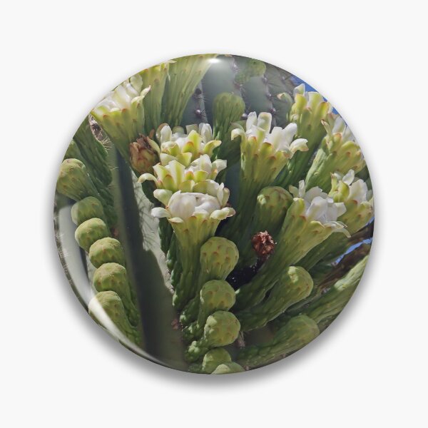 Item preview, Arizona State Flower Saguaro Blossoms On The Side.#65 designed and sold by Tom Janca.