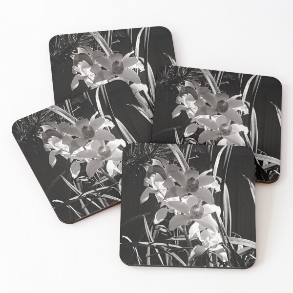 Item preview, Black and White Orchid  designed and sold by Naomi80.