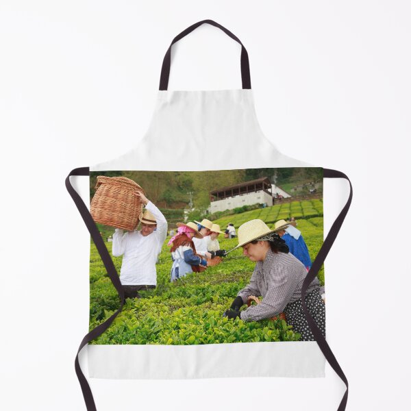Item preview, Porto Formoso tea gardens designed and sold by Gaspar Avila.