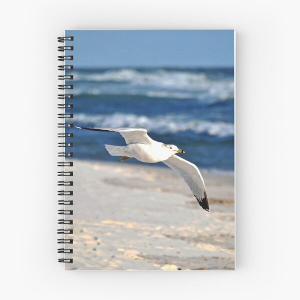 Item preview, Gull and Gulf designed and sold by MarjorieB.