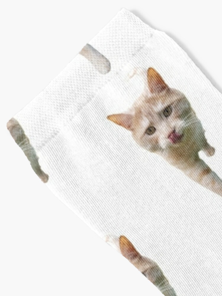 Alternate view of Ginger cat licks lips walking towards you Socks
