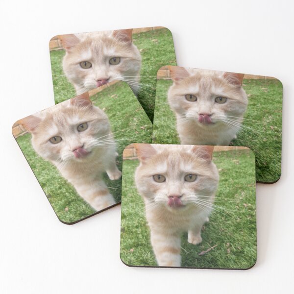 Item preview, Ginger cat licks lips walking towards you designed and sold by HauntedHills.
