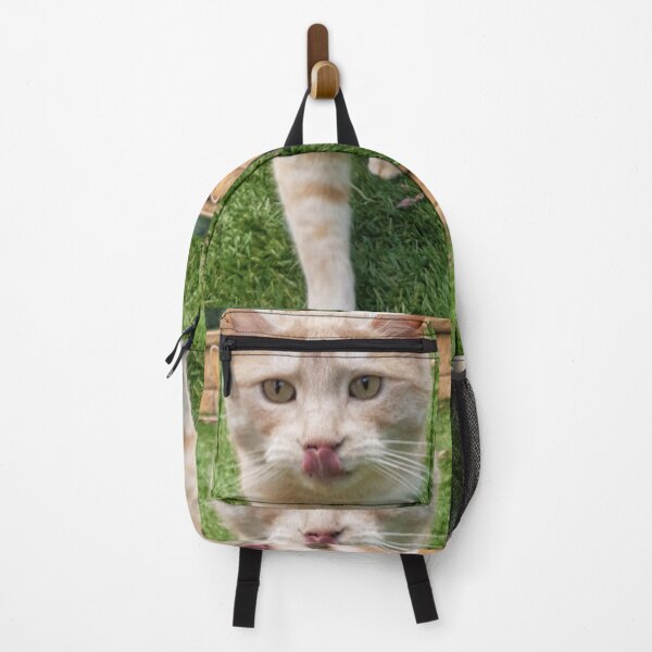 Item preview, Ginger cat licks lips walking towards you designed and sold by HauntedHills.