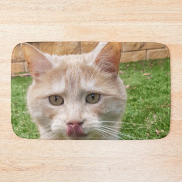 Item preview, Ginger cat licks lips walking towards you designed and sold by HauntedHills.