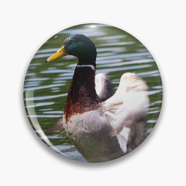 Item preview, Mallard taking off designed and sold by FK2012.