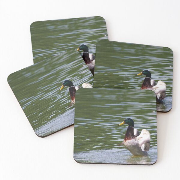 Item preview, Mallard taking off designed and sold by FK2012.