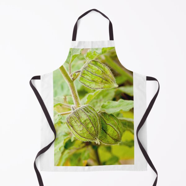 Item preview, Physalis angulata designed and sold by Gaspar Avila.