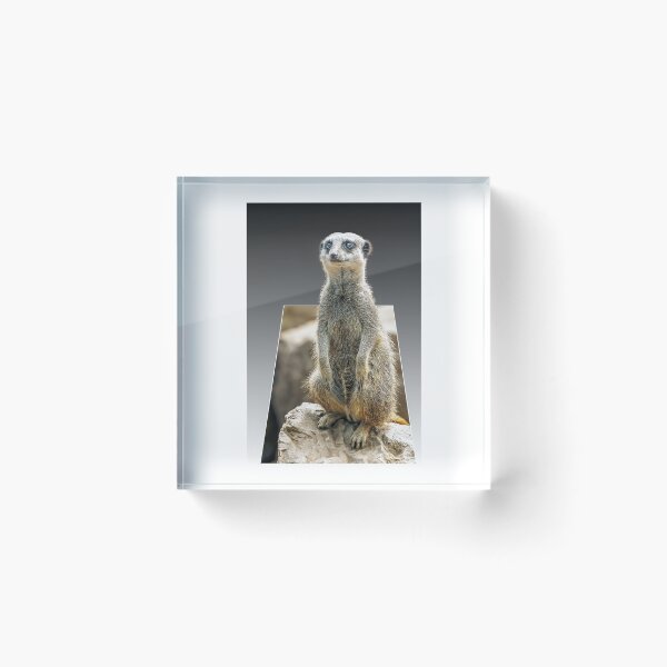 Item preview, Meerkat Love designed and sold by mhfore.