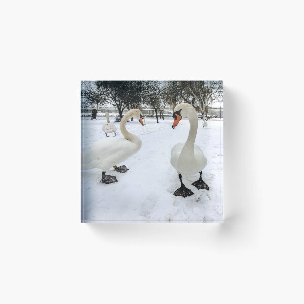 Item preview, Snow Patrol designed and sold by mhfore.