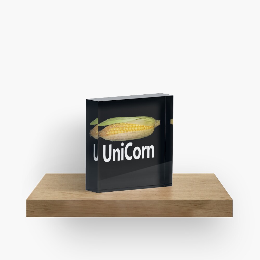 Cute Unicorn Acrylic Block