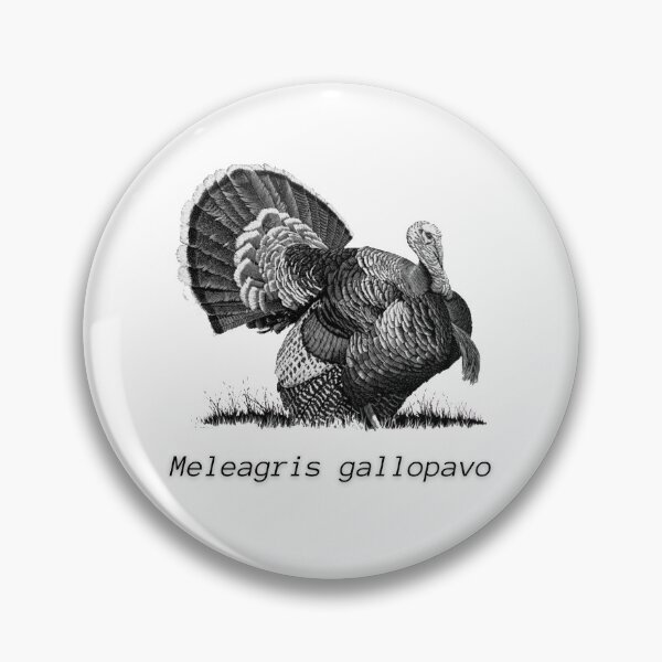 Item preview, Thanksgiving Turkey with Scientific Name- Meleagris gallopavo designed and sold by linime1984.