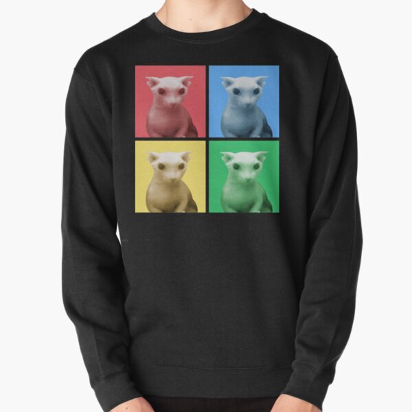 Bingus Color Panel Pullover Sweatshirt