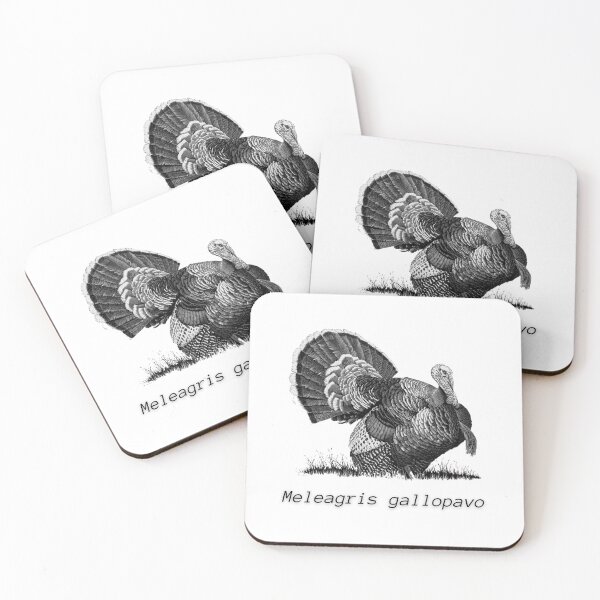 Item preview, Thanksgiving Turkey with Scientific Name- Meleagris gallopavo designed and sold by linime1984.