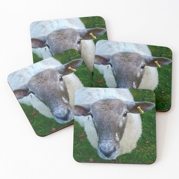 Item preview, “Tuned in Sheep”.     Love Animals. designed and sold by Angela Haig-Harrison.