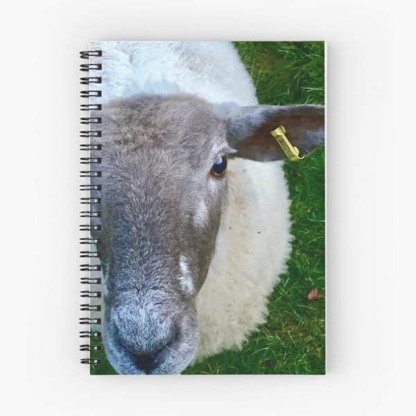 Item preview, “Tuned in Sheep”. Amar a los animales. designed and sold by Angela Haig-Harrison.