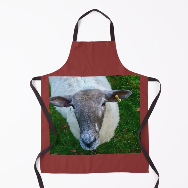 Item preview, “Tuned in Sheep”.     Love Animals. designed and sold by Angela Haig-Harrison.
