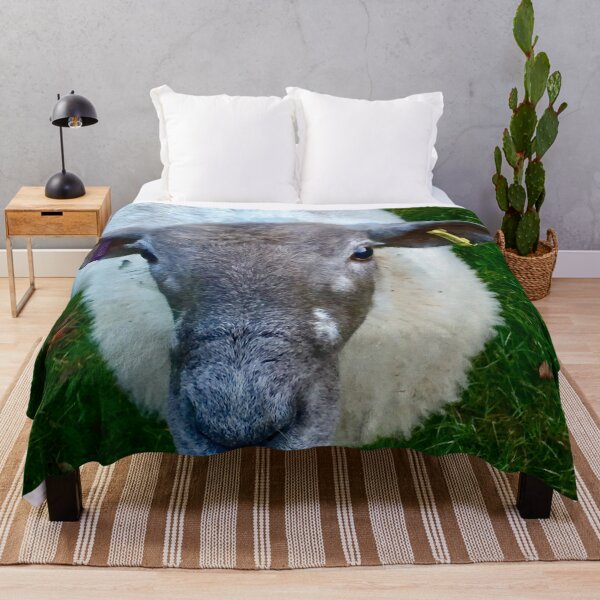 Item preview, “Tuned in Sheep”. Amar a los animales. designed and sold by Angela Haig-Harrison.