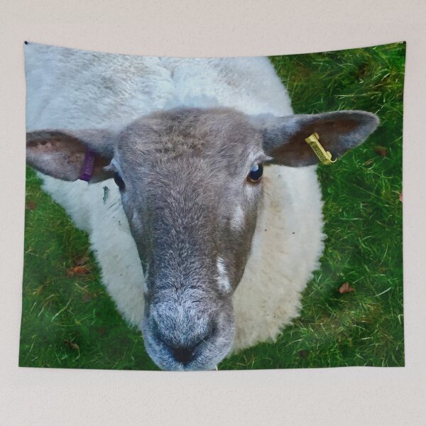 Item preview, “Tuned in Sheep”.     Love Animals. designed and sold by Angela Haig-Harrison.