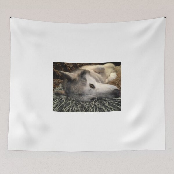 Item preview, Comfortably Cushioned designed and sold by Red Wolf.
