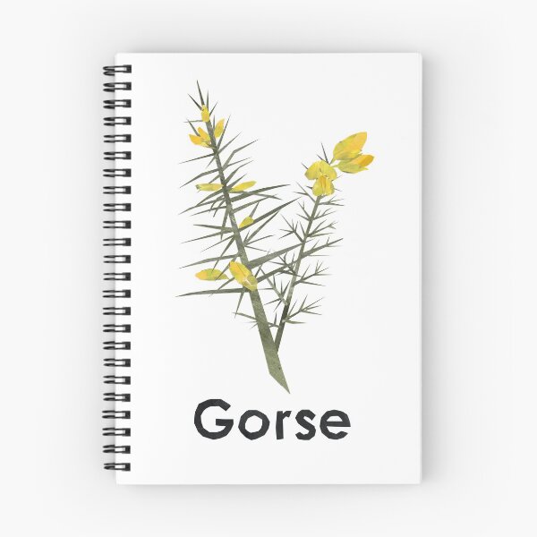 Item preview, En - Gorse designed and sold by BabbanGaelg.
