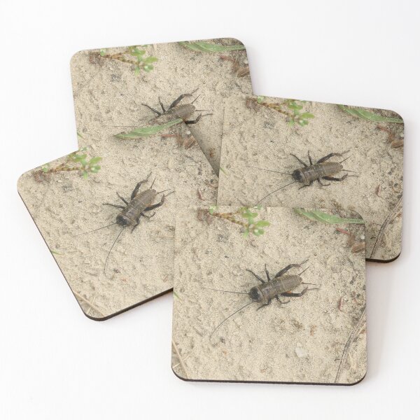 Item preview, Field cricket designed and sold by NW-Photo-Art.