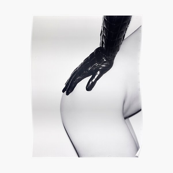 DER Esel Poster