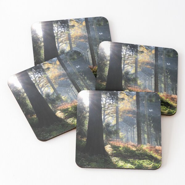 Item preview, Woodland wonders  designed and sold by Theresa Selley Photography.