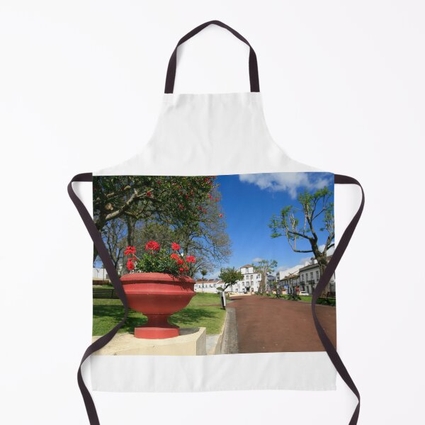 Item preview, Antero de Quental park designed and sold by Gaspar Avila.