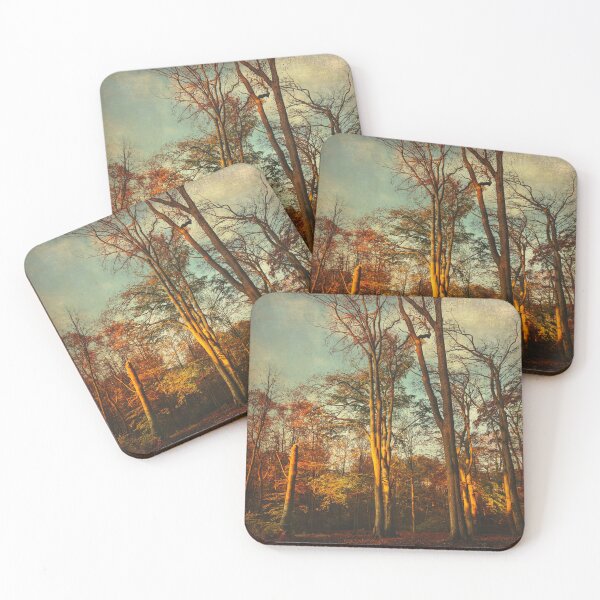 Item preview, Morning Light on Trees designed and sold by Dyrk Wyst Redbubble Shop.