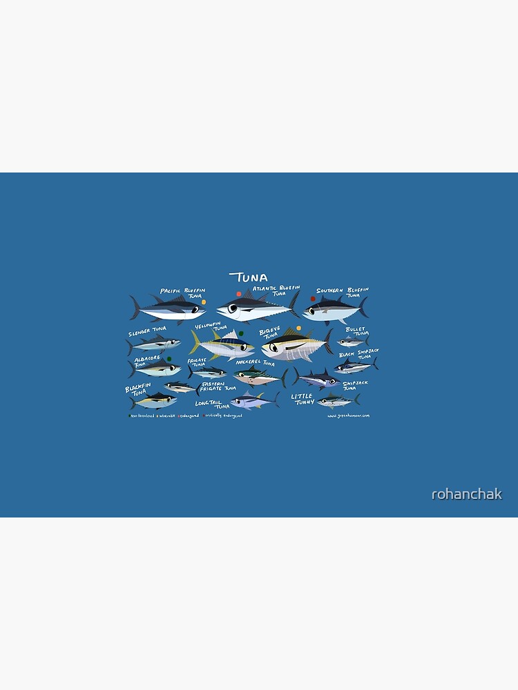 Know your Tuna by rohanchak