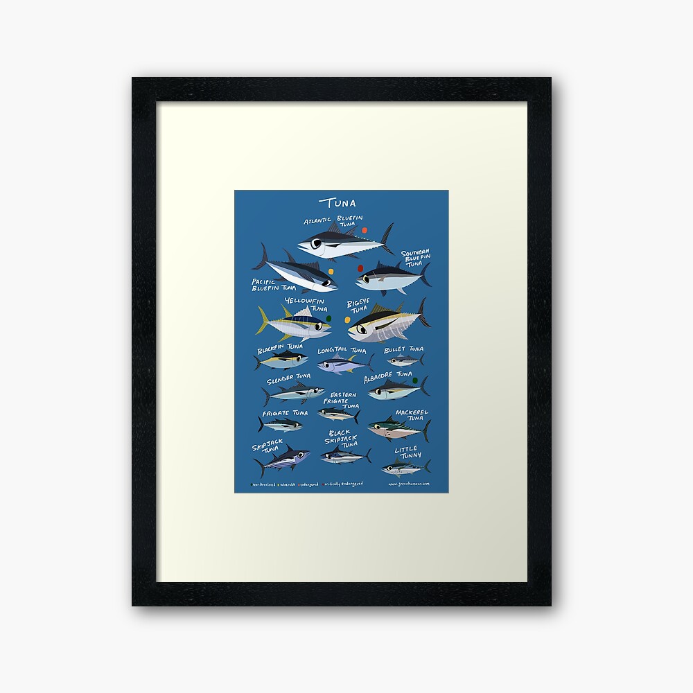 Know your Tuna Photographic Print