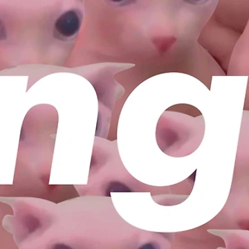 Artwork thumbnail, Bingus Label by Rzera-