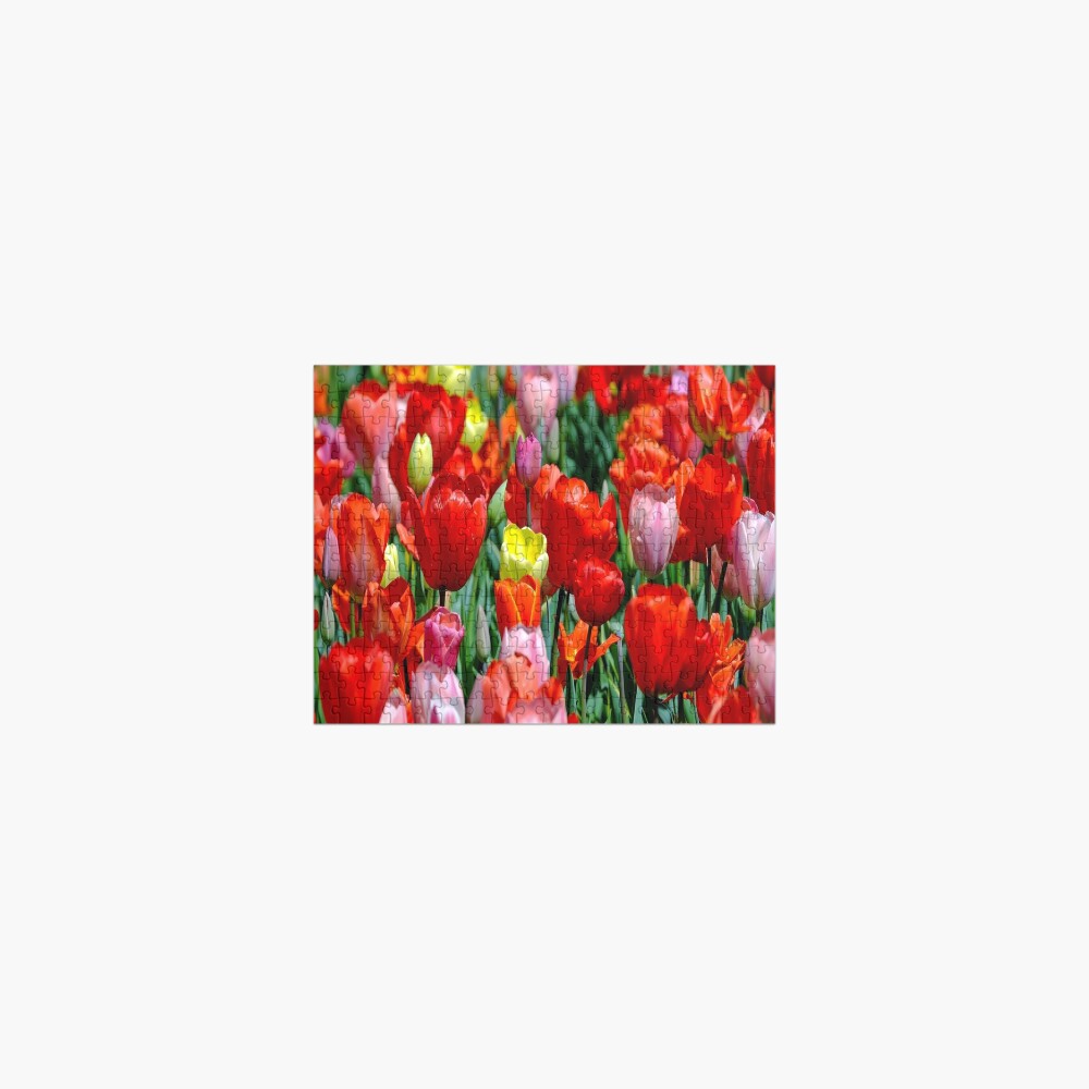 tulips pillow flowers Jigsaw Puzzle