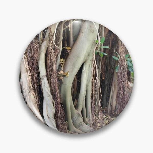 Item preview, Banyan trees by Kate Ferguson designed and sold by CastlemaineMS.