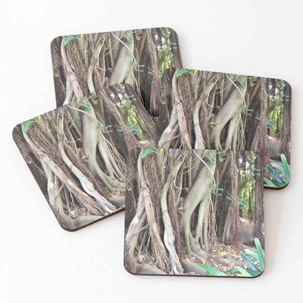 Item preview, Banyan trees by Kate Ferguson designed and sold by CastlemaineMS.