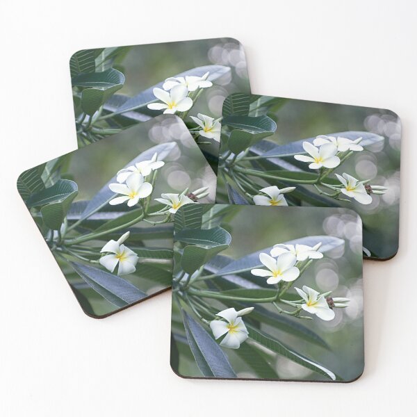 Item preview, Evergreen Offerings designed and sold by Kerryn Madsen-Pietsch.